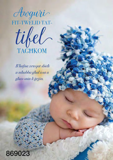 Picture of AWGURI FIT-TWELID TAT-TIFEL TAGHKOM